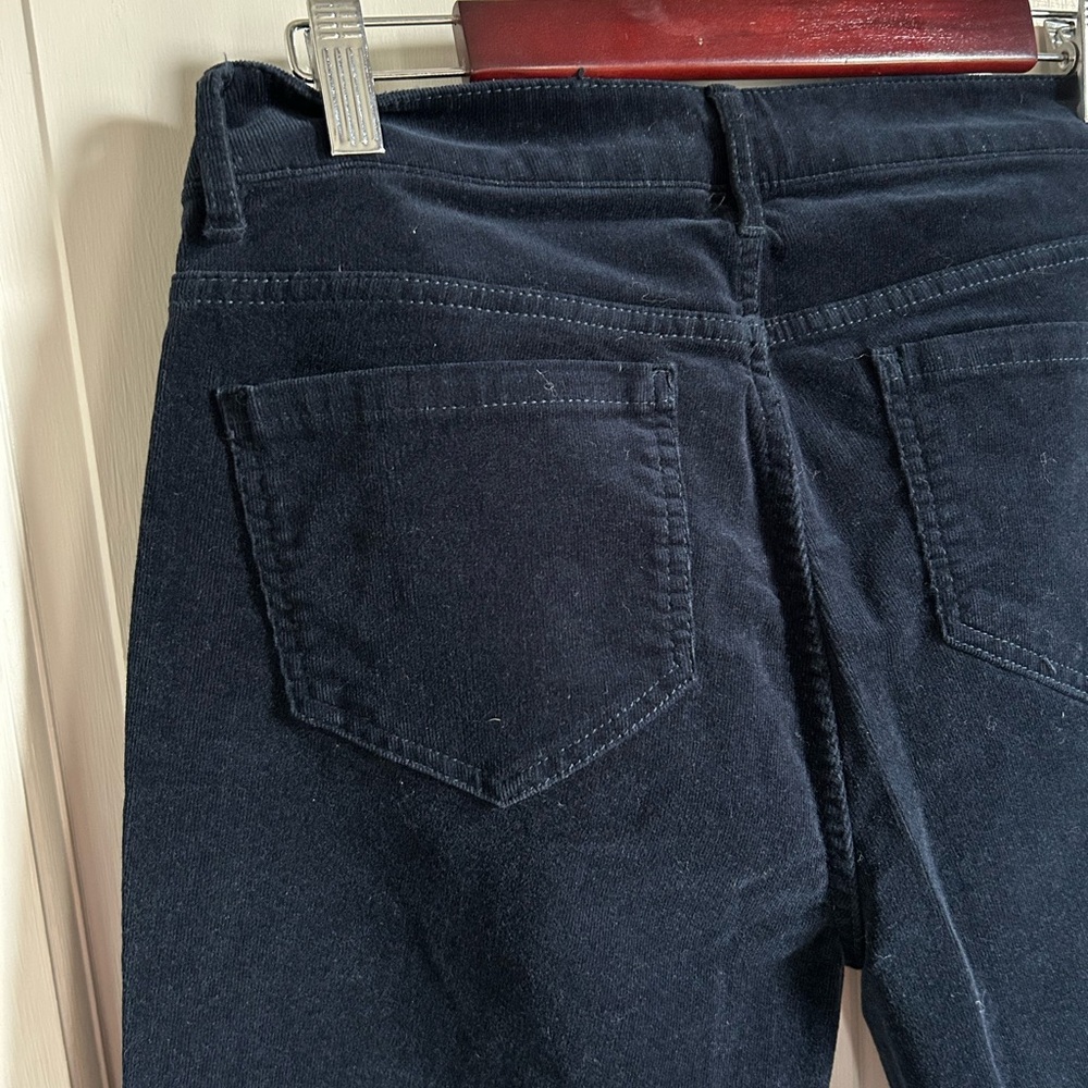J.Jill Blue Cords